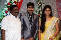 Gopichand Malineni Wedding Reception Gallery